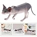Imagen de SHINEOFI Figura de Gato sin Pelo Realista Plástico Duradero Decoración para Escritorio y Juguete Educativo para Hogar y Regalo Sorpresa