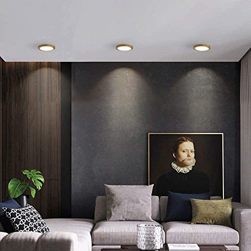 Lámpara de techo en latón cepillado con panel LED ultrafino 4