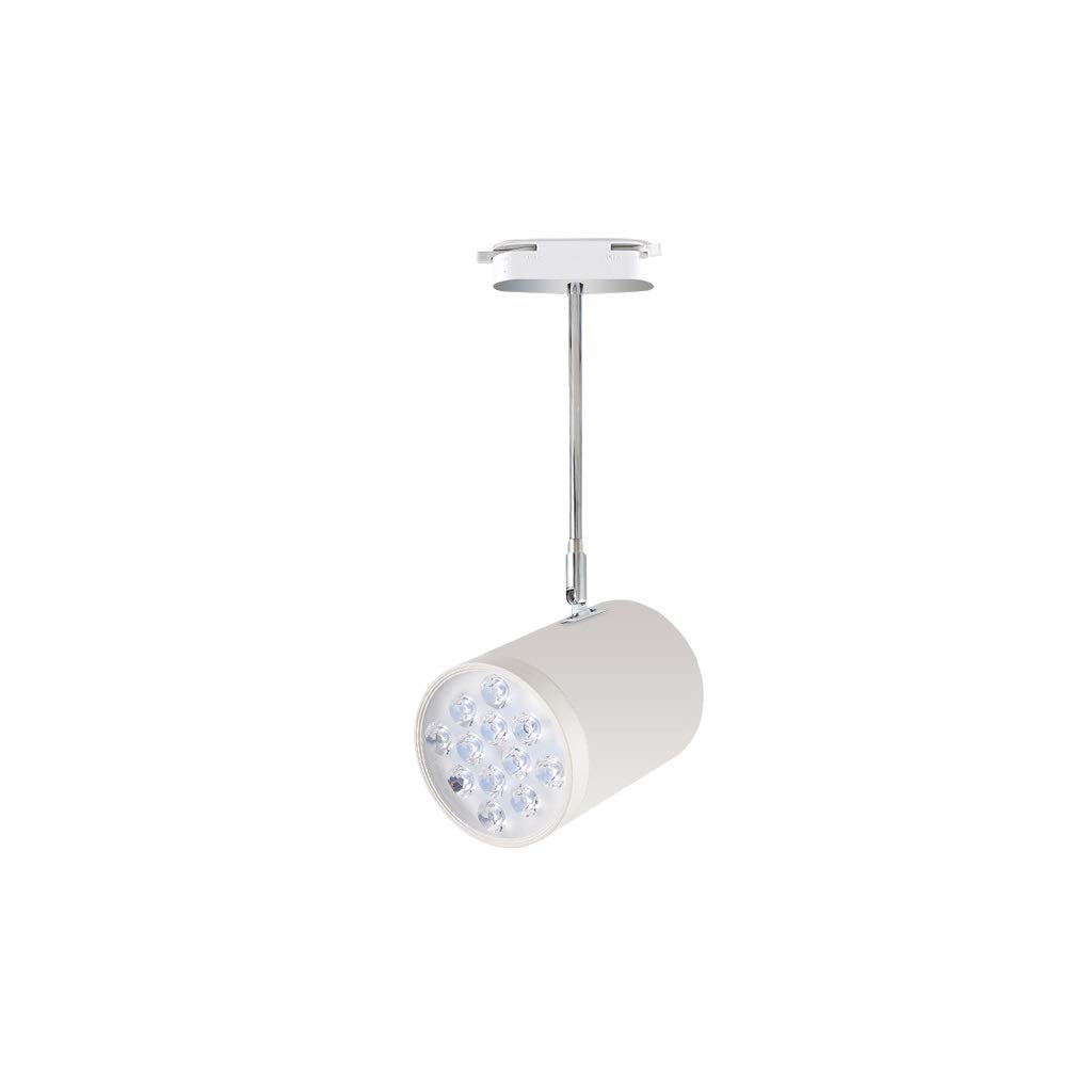 HynJGih Led Extension Pole Track Light Hoisting Boom Long arm Rail spotlights Mounted spotlights Ceiling Rail Light Clothing Store(White,12w)