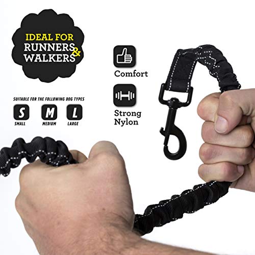 Barkswell Hands Free Dog Lead - Running Dog Lead with Waist Belt and Bungee Dog Lead - Premium Dog Walking Belt - Image 4