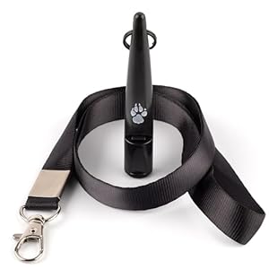 TDL Gun Dog Training Whistle with Lanyard – Dog Whistle with Loud, Solid Tone & Far Reaching Sound – Ideal High-Frequency Long-Distance Dog Recall Whistle for Most Breeds – Black