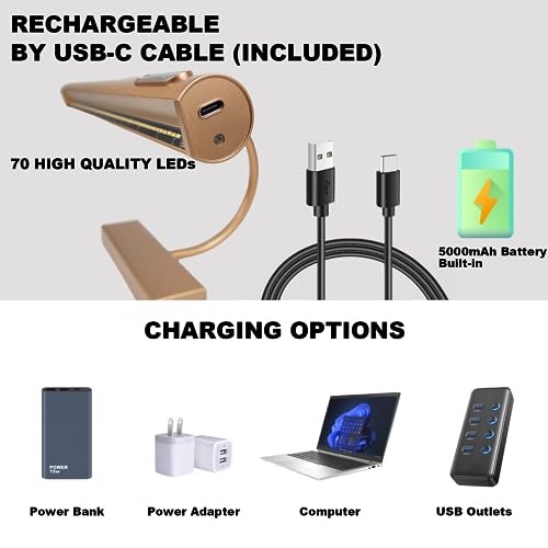 LYTARA Dimmable Cordless Picture Light with Controller and Timer, Rechargeable 5000mAh Battery Wall Sconce for Wall Pictures, Gallery Artwork, Paintings, Portraits, Dartboards (Gold)