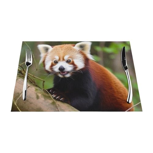 Set de table antidérapant et thermorésistant motif petit panda rouge - 4