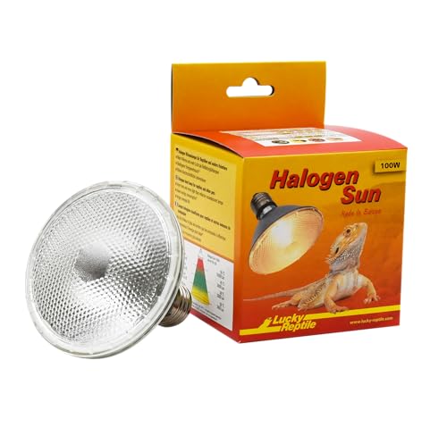 Lucky Reptile Halogen Sun 63403 100 W Lámpara de Calor para Casquillos E27 Foco halógeno para Reptiles Lámpara de terrario con Espectro de luz Diurna Lámpara de Calor Regulable