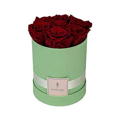 Blooming Gift Boîte à roses longue durée de vie 3 ans Vert clair/rouge Grand format 17 x Ø 15 cm Cover
