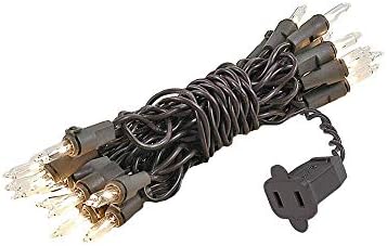 Novelty Lights 5 Feet 20 Bulbs Vintage Short Mini Light String, Clear image 5