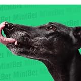 MintBet