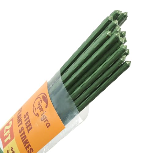 Sprigra Plant Stakes 24 inch 2ft Steel Garden Stakes 30 Pack Sturdy Plant Support for Climbing Plants Tomatoes Beans Cucumbers Peppers Flowers Potted Strengthen and Stem to Grow Better
