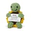 Green Turtle - Mom