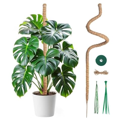 Tuteur Plante Grimpante Mcbazel 120cm Cover
