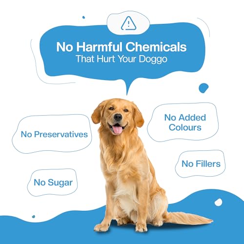 Image of BLEP Fresh Dog Food (Wet) Human Grade, Grain Free|Paneer, Quinoa & Mixed Veggies|Omega 3, 6, Vitamin A, D, E, B|Zero Preservatives & Sugar|Easily Digestible|for All Dog Breeds|8.4kg (42 Pack of 200g)