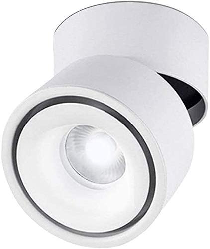 屋内用 10W LED 天井スポットライト 360度調節可能な壁スポットライト 表面取り付け照明 アルミ製壁ランプ，