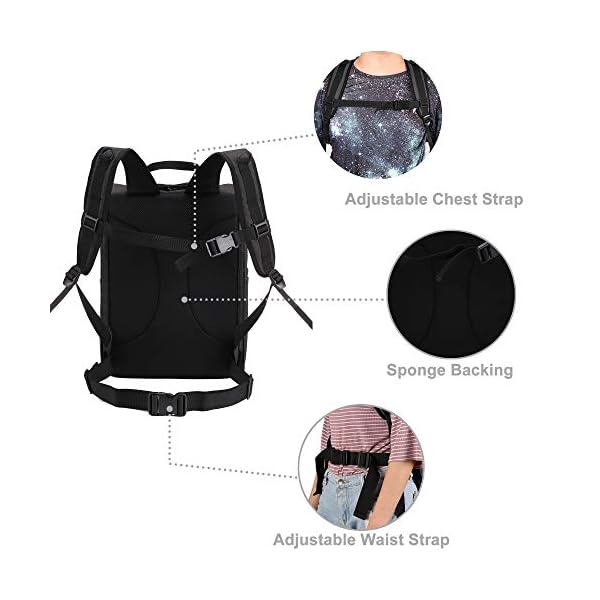 Apollo-Walker-Pet-Carrier-Backpack-for-LargeSmall-Cats-and-Dogs-Puppies-Safety-Features-and-Cushion-Back-Support-for-Travel-Hiking-Outdoor-Use-Black Apollo Walker Pet Carrier Backpack - Travel with Your Pets in Comfort and Style