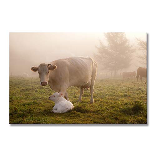 Toile Vache des Highlands pour la Décoration de la Maison