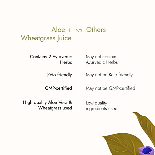 Image of Kapiva Aloe Vera + Wheatgrass Juice Natural Detoxifier (1L) - Enhances Digestion, Fights Gastrointestinal issues
