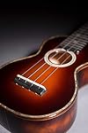 MARTIN Tenor Ukulele Strings Clear Fluorocarbon Tune C Pull Standard 220 (M620)