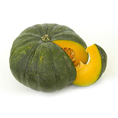 Radha Krishna Agriculture Vegetable Seeds Pumpkin Kaddu Organic F1 Hybrid Seeds Pack