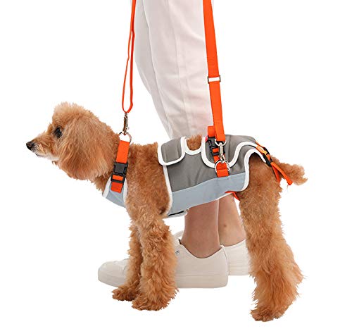 Amazon | With(ウィズ) 歩行補助ハーネス LaLaWalk 小型犬・ダックス用