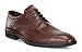 ECCO Men's Illinois Wing Tip Oxford