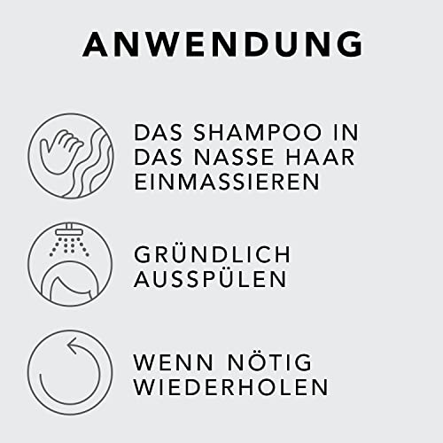 SEBASTIAN PROFESSIONAL DARK OIL – Shampoo mit Jojoba- und Arganöl (250 ml) – schwereloses Haarshampoo für geschmeidig glänzende Haare mit luxuriösem Duft – glättet und pflegt