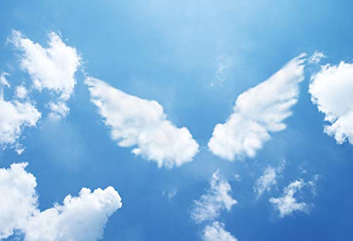 BELECO 7x5ft Fabric Magic Angel Wings Backdrop For Photography Watercolor White Wings Colorful Art Painting Background Wings Backdrop For Birthday