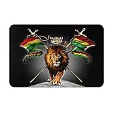 XNCHDK Lion Flag Reggae Rastafarian Rasta Floor Mat Ground Rug Non Slip Home Decorate Absorbent Dirt Bath Rugs