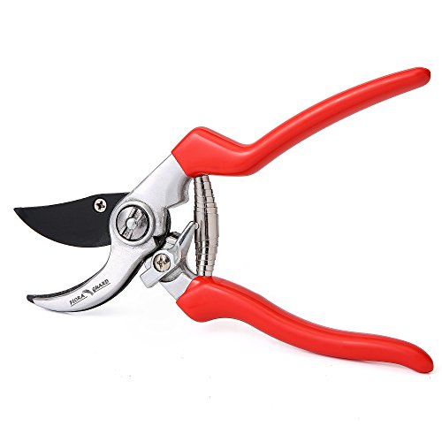 FLORA GUARD Professional Hand Pruner-Bypass Pruning Shears with Safety Lock, Tree Trimmers Secateurs, Garden Shears, Clippers for The Garden