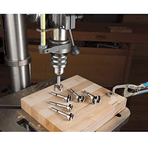 Fisch Fsa-134572 Wave Cutter Forstner Bit, 20Mm X 8Mm #TOP4