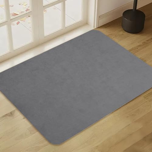 Felpudo interior ultrafino, 60 x 90 cm, felpudo para interiores, antideslizante, absorbente y repelente de suciedad, alfombra lavable para la puerta delantera, alfombrilla interior plana (gris claro)
