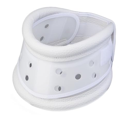 zŌŒJ[ n[hXLTCYiiOH-001jḰF40`45cm P