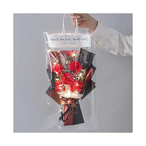 yNOBONUz ̓Mtg ԃJ[l[VƃXv[J[l[V ԑ a  ꂳ񂠂肪Ƃ ӂ̉ԑ  u[P ̓v[g JX~t lC 