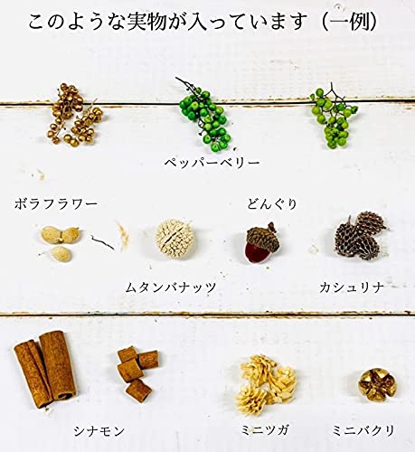 【NICHIFLRO】 ニチフロ ハンドメイド材料 花資材 小分け ハーバリウム アロマワックスサシェ レジン ネイル プリザーブドフラワー ドライフラワー クラフト 花材セット (木の実MIX) [5]
