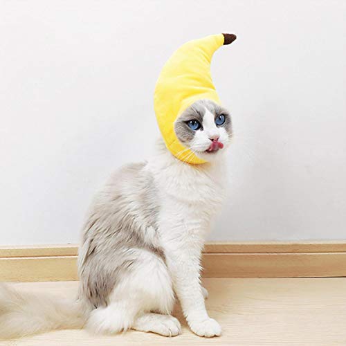 Disfraz para perros y gatos Halloween plátano pequeño miniatura 4