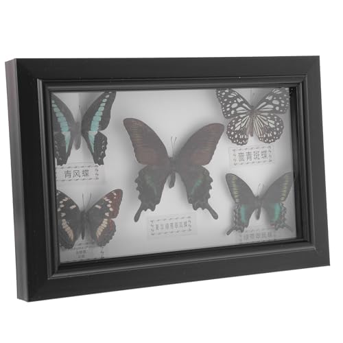 Mariposa en marco de madera para decorar el salón u oficina