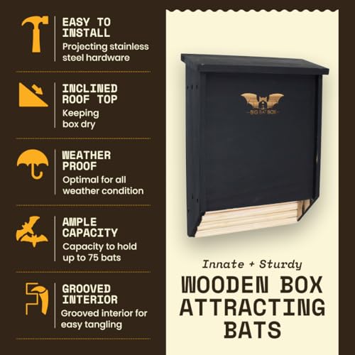 Image of BIGBATBOX Bat House for Outdoors - Large 2 Chamber, Black, Holds 75 Bats