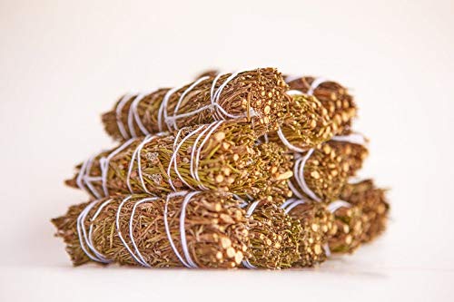 Rosemary Smudge Sticks Wholesale Bundle: 12 Rosemary Smudge Sticks (Bulk Smudge Bundle) #TOP11