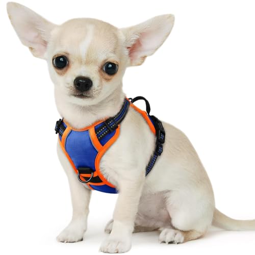 Image of Eagloo Dog Harness for Small Dogs, No Pull Pet Vest with 2 Leash Clips