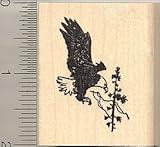 North American Bald Eagle in Flight - Wood Mounted
