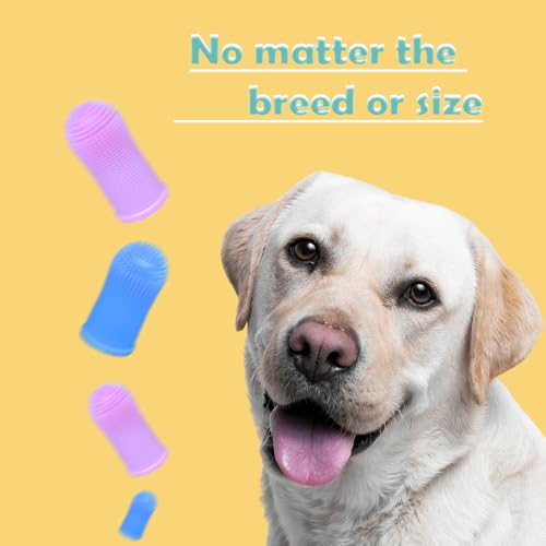 Image of Cylindrical dog toothbrush for Dogs-the Easy to Use Dog Tooth Brushing Kit, With of Toothbrush for Dogs you will get the Hygiene, Takes Care of Teeth and Gums, Ideal for Pets of All Ages-Pink-2 Pack