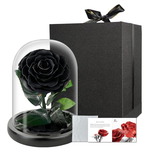 Cyrabota Preserved Flowers in Glass Dome, Medium Forever Roses Gift, Flowers for Delivery, Long Lasting Eternal Flower Rose Gifts for Women Mom Wife Girlfriend Grandma(Black)