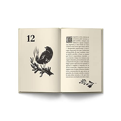 O Morro dos ventos uivantes