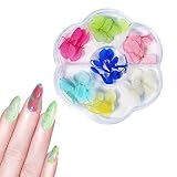 ZJchao Arte de Uñas Decoración de Flores Secas Manicura Diy Flores Falsas Uñas Florales Románticas para Mujeres Primavera Verano (6 rejilla flores secas 01)