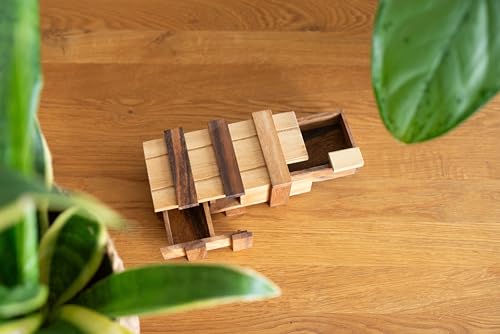 Schatztruhe mit 2 Geheimfächern - Schatzkiste - Zauberkiste - Trickkiste - Denkspiel - Knobelspiel - Geduldspiel - Logikspiel aus Holz
