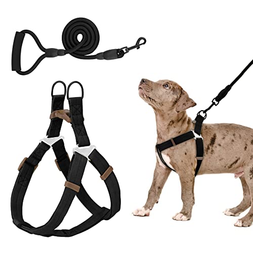 Piang Gouer Hundegeschirr und Leinen-Set , Verstellbares, bequemes Hals Balance Hundehalftergeschirr für kleine, mittelgroße Hunde, kein Ziehen, einfaches Gehen, Hundegeschirr(Schwarz-XL) Cover