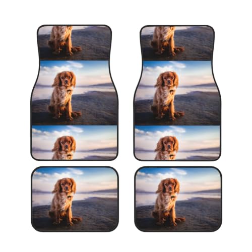 Alfombrillas de coche Cavalier King Charles evitan deslizamientos y suciedad en el suelo