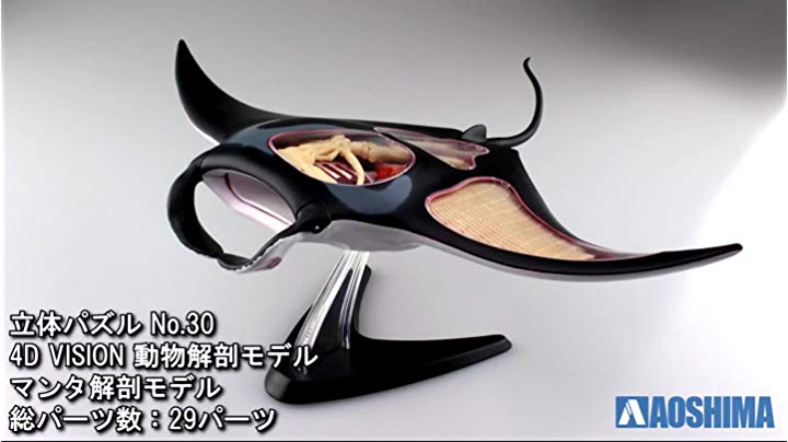 Amazon.co.jp: 青島文化教材社 スカイネット 立体パズル 4D VISION