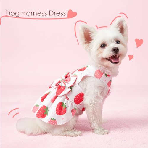 Dog Dress Harness Dresses Leash Set for Small Dogs Cute Girl Dog Clothes with Bowknot Puppy Outfits for Shih Tzu Yorkies Chihuahua - Image 3