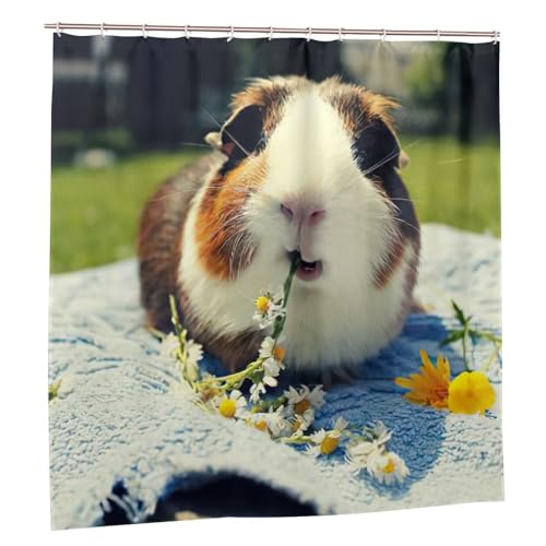 Rideau de douche imprimé cochon d'Inde : accessoires de salle de bain polyester 183x183 - 3