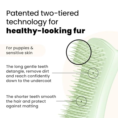 Tangle Teezer | Pet Teezer | Puppy Grooming Brush | Dry Brush or Dog Bath Brush | Mint