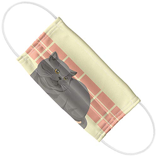 Chubby British Short Hair Grey Cat 1-Ply Reusable Face Mask Covering with Adjustable Nose Wire, Unisex